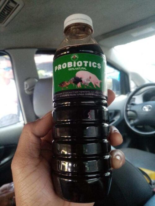 Natural Probiotics 350ml